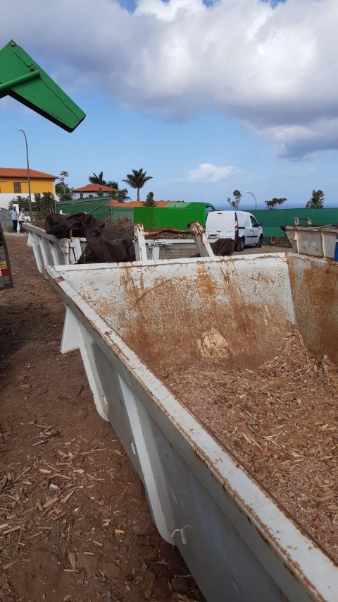 Contenedores del Centro de Acopios donde se deposita el material astillado infestado por Reticulitermes flavipes